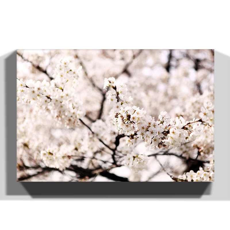 Wrapped Canvas Print, 70cm H x 100cm W