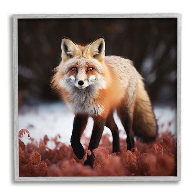 " Fox Cub In Nature "