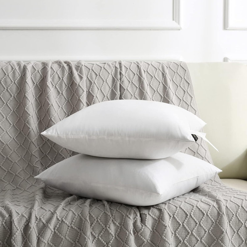 Ensemble de 2 coussins décoratifs en duvet et plumes, H 20 po x l 20 po