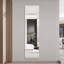 Miroir mural 59 po x 16 po