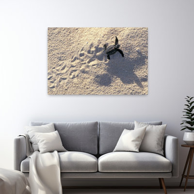 Young Sea Turtle Contemporary Art