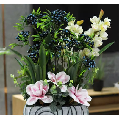 23,62 Plante