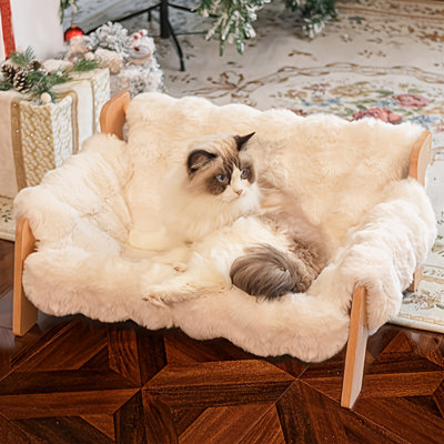 Canapé-lit surélevé pour chat avec structure en bois, canapé doux et moelleux lavable pour chats d'intérieur, lit surélevé chaud pour animaux de compagnie