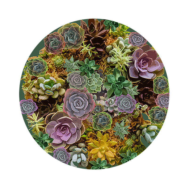 Succulents Evergreen Vegan Leather Round Coasters, Evergreen