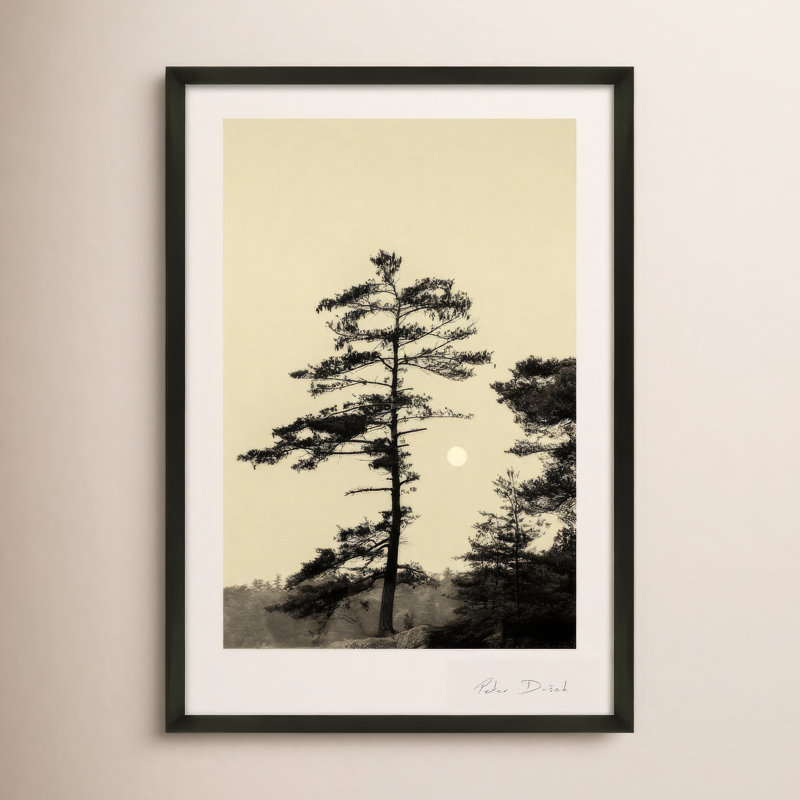 Photographie de jardin, H 38 po x l 26,5 po x P 1,25 po, Noir