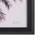 «Tuley Palms Horizontal» par Deborah Revell, reproduction d'art encadrée sous verre-80788199-80788203