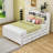 Caelib Full Platform bed with Trundle and 3 Drawers-189638181