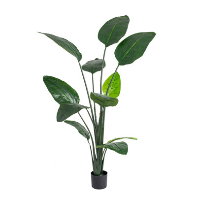 Faux Mango Plant in Pot