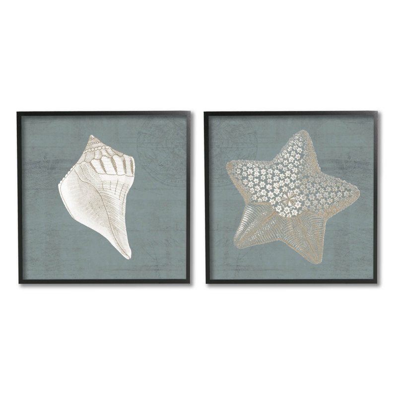 «Sea Life Conch Starfish Nautical», ensemble de 2 impressions giclées encadrées par Piddix, H 12 po x l 12 po x P 1,5 po