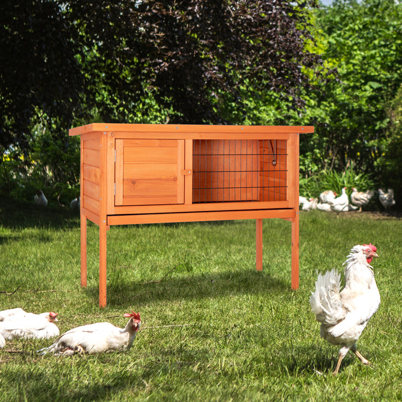 Doruntina Chicken Coop