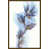 Image Brush Gel selected