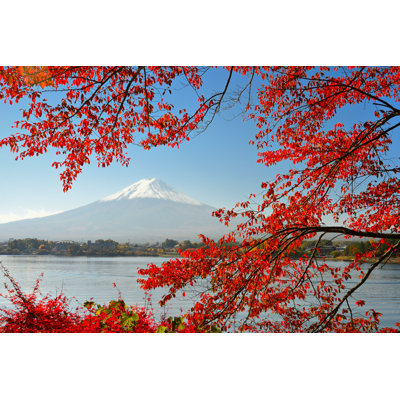 Érable japonais avant le Fuji - Photographie sur toile tendue