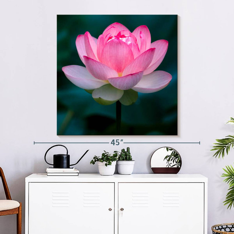 Harnek Delicate Lotus