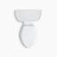 Wellworth® 1.28 GPF Water Efficient Elongated Two-Piece Toilet (Seat Not Included)-101432756-10977855