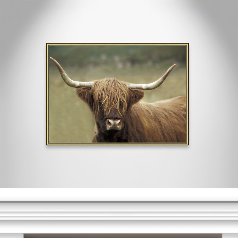 Highland Af après-midi par Danita Delimont - photographie de cadre, H 30,75 po x l 42,75 po x P 0,88 po, Encadrement doré