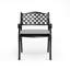 Candi Patio Dining Armchair with Cushion-154027141