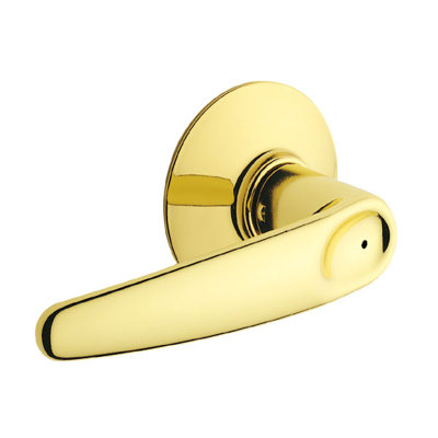 Georgian Privacy Door Lever