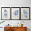 Blue Marine Algae IV - reproduction encadrée sur mesure de qualité supérieure mate - 3 pièces-40886035-40886029
