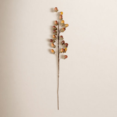 Acorn Floral Stems