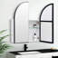 Rinny W H Framed Medicine Cabinet Mirror 1 Adjustable-323910783