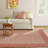 Daniels Indoor / Outdoor Rug