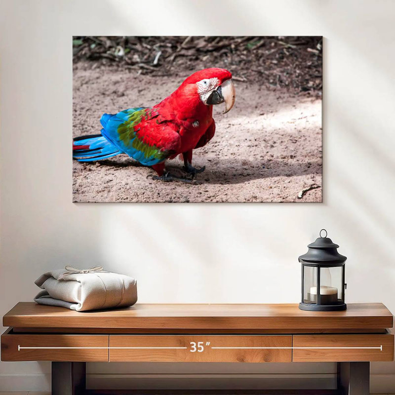 Brampt Brazilian Red Macaw, 16" H x 24" W