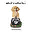 Statue solaire Buddy The Puppy