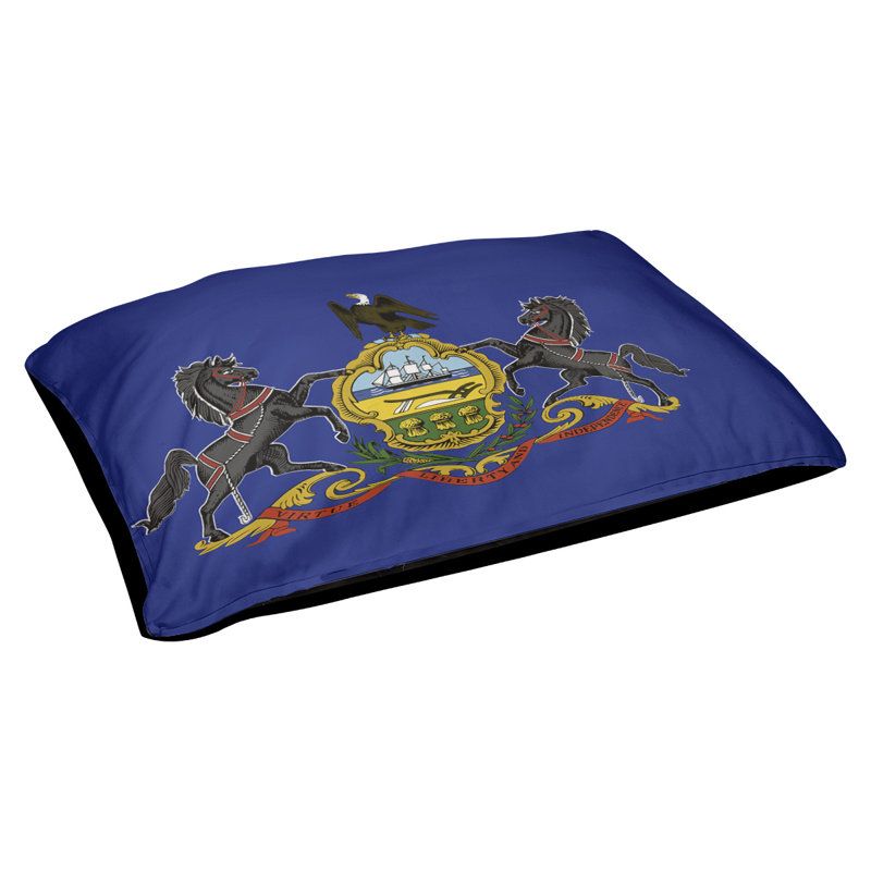 Coussin de créateur drapeau Burien, L 42 po x l 52 po, Noir