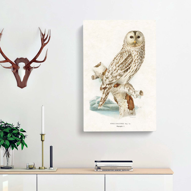 Ural Owl by Von Wright - Wrapped Canvas, 91cm H x 60cm W x 3cm D