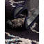 Tapis Hannah Raphaelle-2014859919