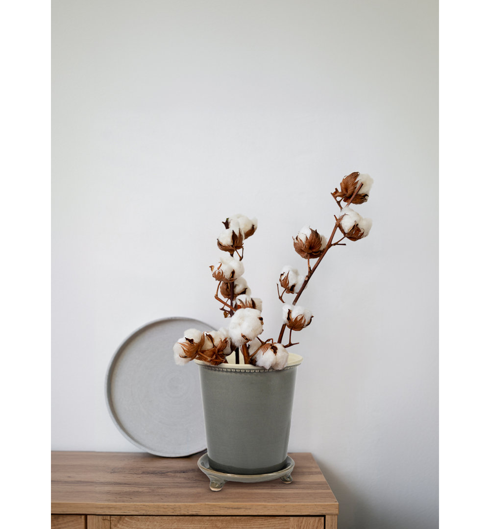 Alois Ceramic Pot Planter Gracie Oaks