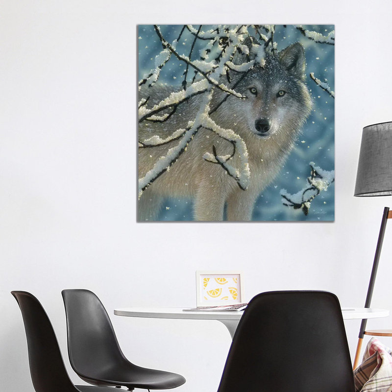 Broken Silence - Grey Wolf, Square by Collin Bogle - Print on Canvas, Wrapped Canvas, 66.04 cm H x 66.04 cm W x 3.175 cm D