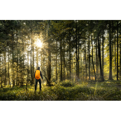 Hiking In Forest by Mixedreality - Wrapped Canvas Print