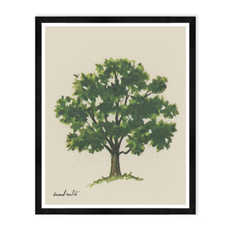 Moulton Collection " Meadow Tree Iii "