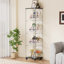 Glass Display Cabinet-95727318-95727313