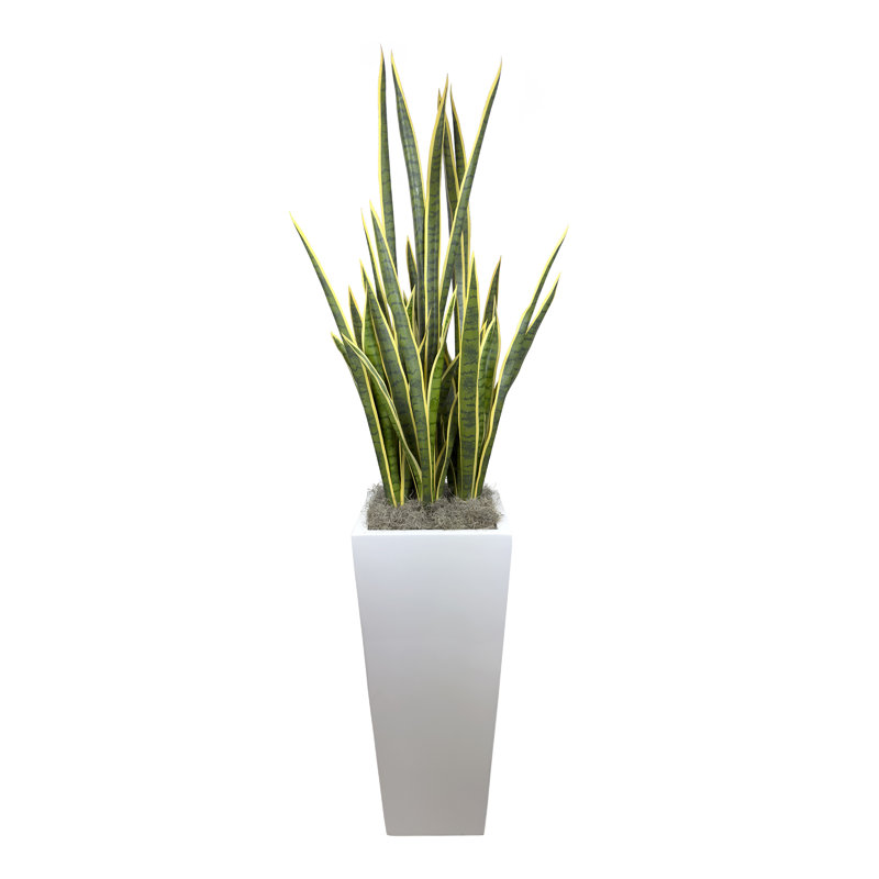 Faux Snake Plant (Sansevieria) Plant in Fiberstone Pot