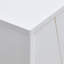 Aerith 48cm W 4 - Drawer Chest of Drawers