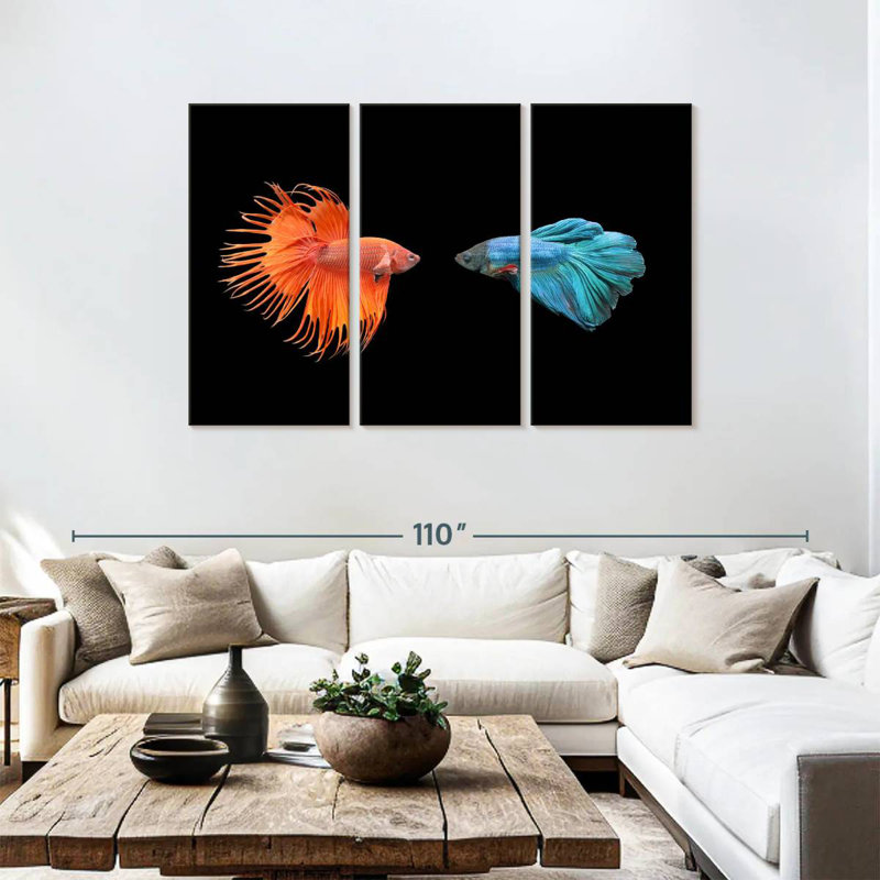 Brampt Betta Fish Meet, 48" H x 74" W