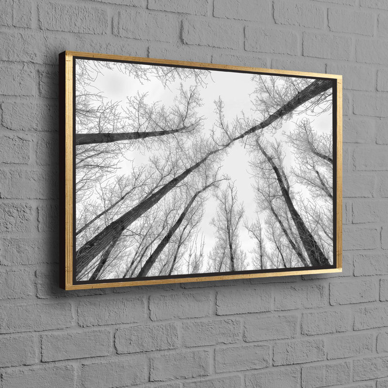 Print on Canvas, Gold Floater Framed, 80 cm H x 110 cm W