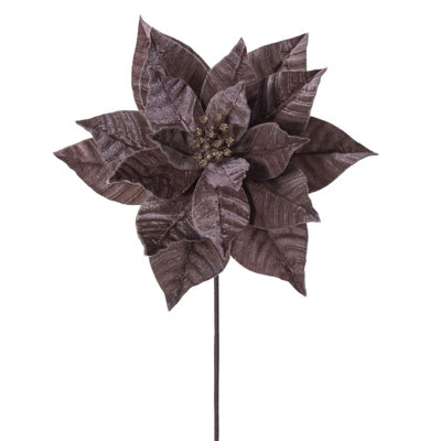 Tiges de poinsettia