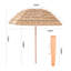 Beach Parasol-152109474