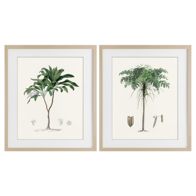 Two Types of Palms 2pc Framed Print Under Glass Set, design by Val Rhodes