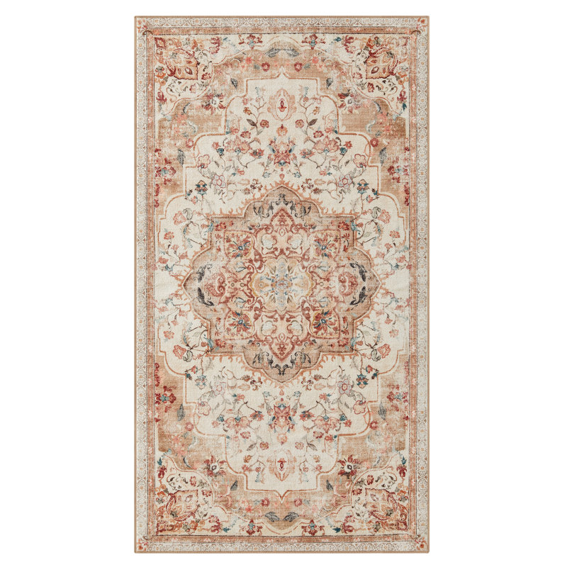 Ekamjit Oriental Braided 150cm X 80cm Area Rug