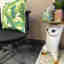 Customer photo 1 of 2