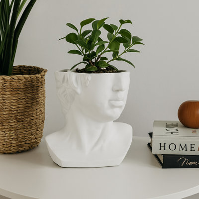 Pot de fleurs Kylz