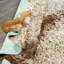 Tapis brun/blanc vache Goetz