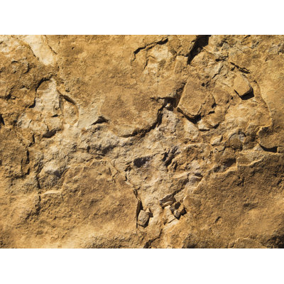 2.8m x 372cm 3D Embossed Distressed Wall Mural