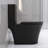 Modern Matte Black Toilet, 1.1/1.6 Dual Flush, Energy Flushing Option Flush , Quiet, Elongated Seat For Bathroom-121640365