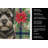 Black Cairn Terrier Christmas PoinsettIas Kitchen Towel-2080583783