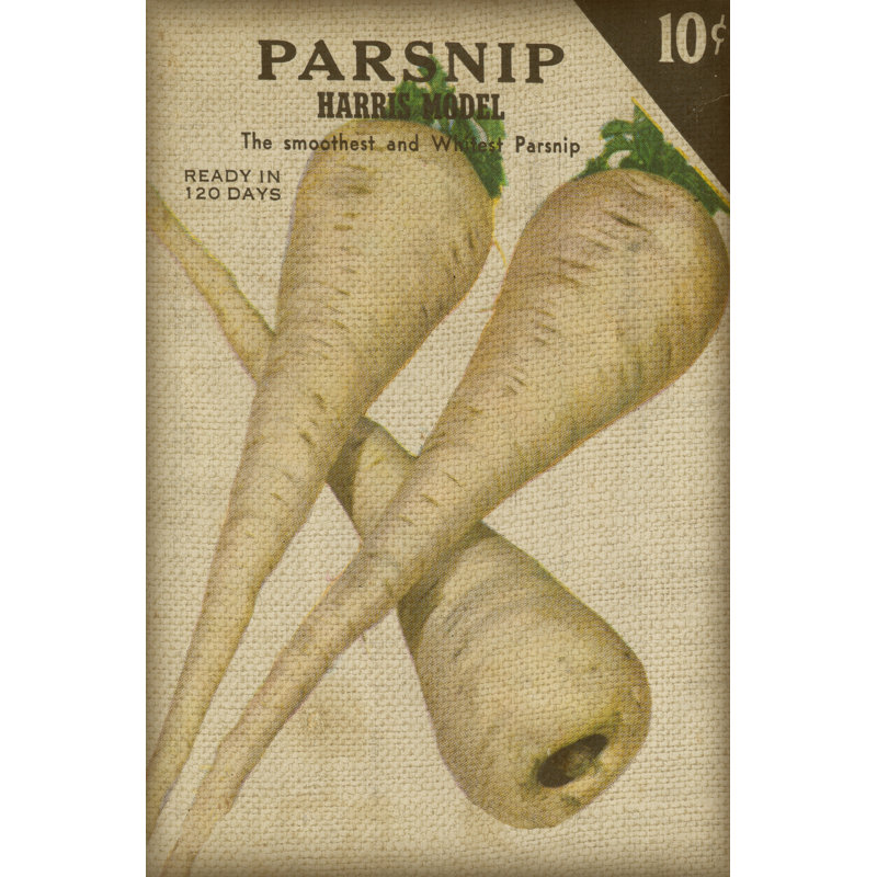 Heirloom Variety IV by Jarman Fagalde - Wrapped Canvas Print, 46cm H x 30cm W 